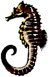 Sea Horse logo